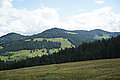 Bernhard Saalfeld - DSC03779.JPG