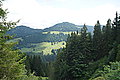 Bernhard Saalfeld - DSC03780.JPG