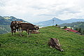 Bernhard Saalfeld - DSC03784.JPG