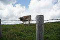 Bernhard Saalfeld - DSC03790.JPG