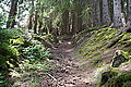 Bernhard Saalfeld - DSC03795.JPG