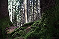 Bernhard Saalfeld - DSC03798.JPG