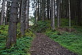 Bernhard Saalfeld - DSC03801.JPG