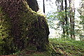Bernhard Saalfeld - DSC03802.JPG