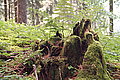 Bernhard Saalfeld - DSC03803.JPG