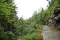 Bernhard Saalfeld - DSC03816.JPG