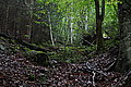 Bernhard Saalfeld - DSC03820.JPG