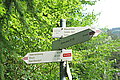 Bernhard Saalfeld - DSC03833.JPG