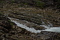 Bernhard Saalfeld - DSC03838.JPG
