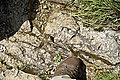 Bernhard Saalfeld - DSC03852.JPG