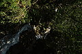Bernhard Saalfeld - DSC03854.JPG