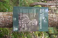 Bernhard Saalfeld - DSC03856.JPG