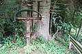 Bernhard Saalfeld - DSC03887.JPG