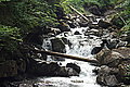 Bernhard Saalfeld - DSC03908.JPG