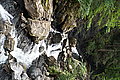 Bernhard Saalfeld - DSC03910.JPG