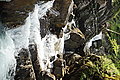 Bernhard Saalfeld - DSC03918.JPG