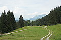 Bernhard Saalfeld - DSC03943.JPG