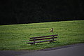Bernhard Saalfeld - DSC03964.JPG