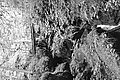 Bernhard Saalfeld - L1003120.JPG