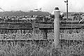Bernhard Saalfeld - L1003149.JPG