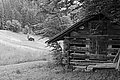 Bernhard Saalfeld - L1003156.JPG