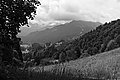 Bernhard Saalfeld - L1003157.JPG