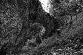 Bernhard Saalfeld - L1003167.JPG
