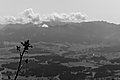 Bernhard Saalfeld - L1003226.JPG