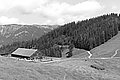 Bernhard Saalfeld - L1003231.JPG