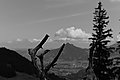 Bernhard Saalfeld - L1003251.JPG