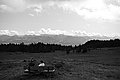 Bernhard Saalfeld - L1003261.JPG