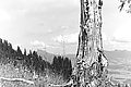 Bernhard Saalfeld - L1003268.JPG