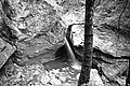 Bernhard Saalfeld - L1003289.JPG