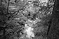 Bernhard Saalfeld - L1003293.JPG
