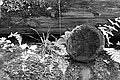 Bernhard Saalfeld - L1003297.JPG
