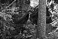 Bernhard Saalfeld - L1003335.JPG
