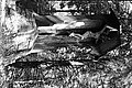 Bernhard Saalfeld - L1003339.JPG