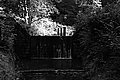Bernhard Saalfeld - L1003395.JPG