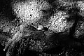 Bernhard Saalfeld - L1003404.JPG