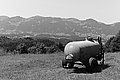 Bernhard Saalfeld - L1003407.JPG