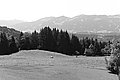 Bernhard Saalfeld - L1003408.JPG