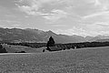 Bernhard Saalfeld - L1003445.JPG