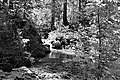 Bernhard Saalfeld - L1003487.JPG