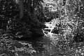 Bernhard Saalfeld - L1003488.JPG