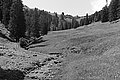 Bernhard Saalfeld - L1003489.JPG