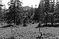 Bernhard Saalfeld - L1003490.JPG