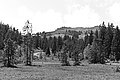 Bernhard Saalfeld - L1003492.JPG