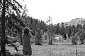 Bernhard Saalfeld - L1003496.JPG