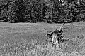 Bernhard Saalfeld - L1003497.JPG