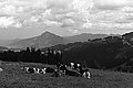 Bernhard Saalfeld - L1003499.JPG